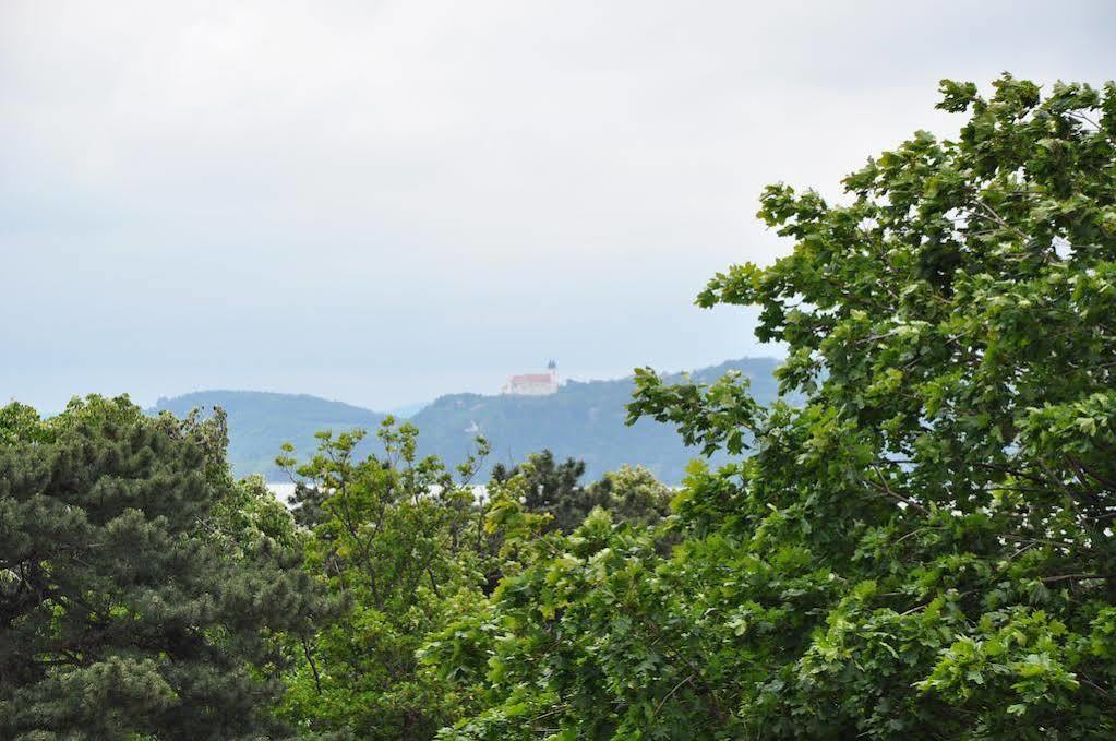 Villa Muzsa Deluxe Balatonfüred Eksteriør bilde